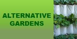 Alternative Gardens