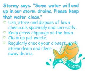 Stormy Storm Drains