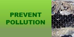 Prevent Pollution