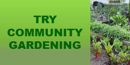 Try Community Gardening