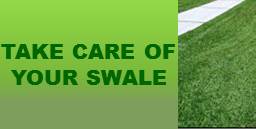 Take Care of Your Swale