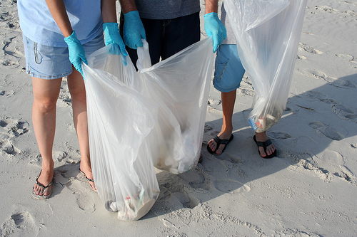 Beach Cleanup