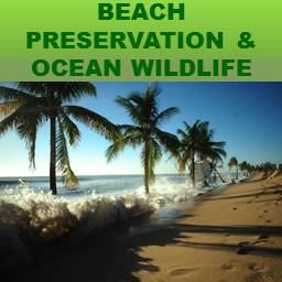 Beach Preservation & Ocean Wildlife Tile