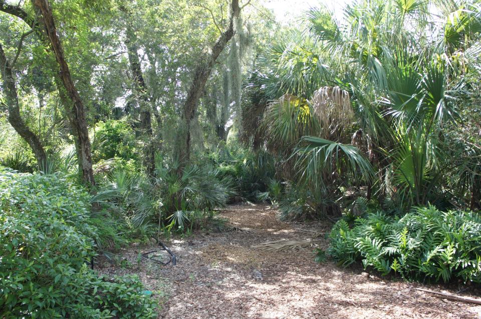 Path in Sail Boat Bend Preserve 