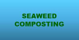 Find out how the City composts seaweed