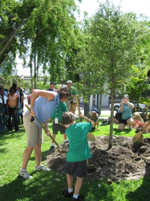 Tree Planting