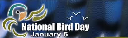 National Bird Day Logo