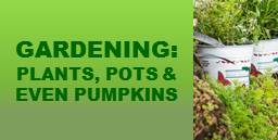 Click Here for Gardening Waste Disposal Guidelines