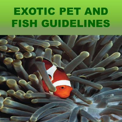 Exotic Pet and Fish Guidelines