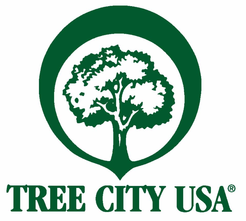 40 Years Tree City USA