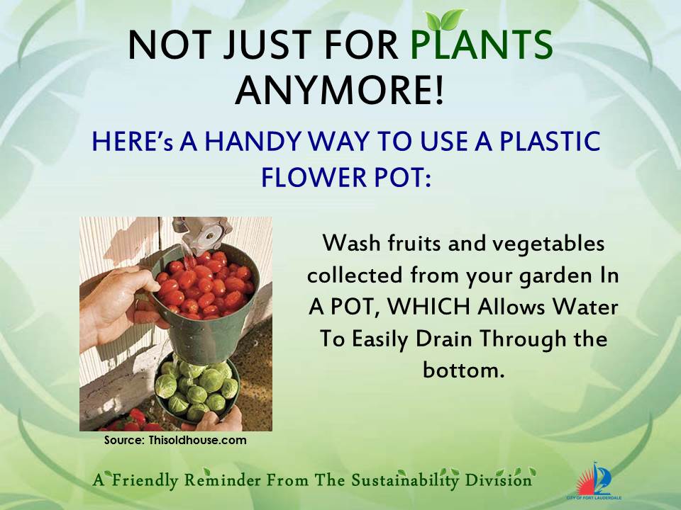 Not Just for Plants Anymore: Slide 4