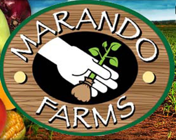 Marando Farms Logo