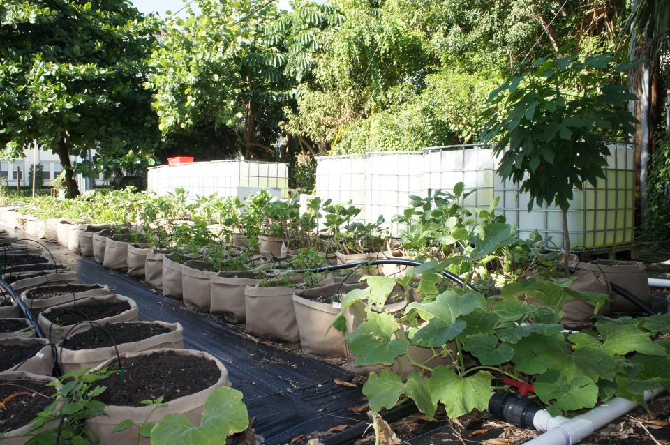 Flagler Community Garden