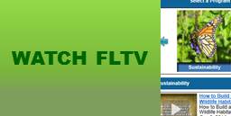 Watch FLTV