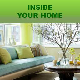 Green Your Routine Inside Your Home