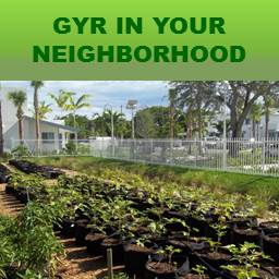 Green Your Routine in Your Neighborhood