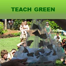 Teach Green