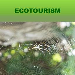 EcoTourism