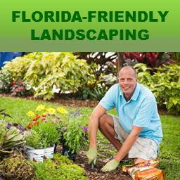 Florida Friendly Landscaping