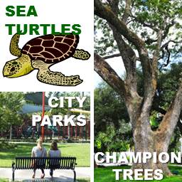 Sea Turtles City Parks and Champion Trees