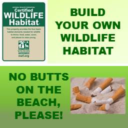 Wildlife Habitat and No Butts on the Beach