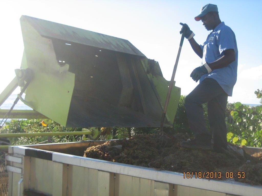 Seaweed Composting