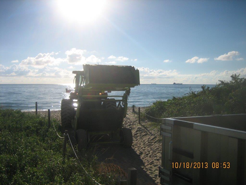 Seaweed is Transferred for Shipment to Parks