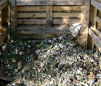 Compost Bin